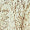 Countryside Serenade Casual Dress